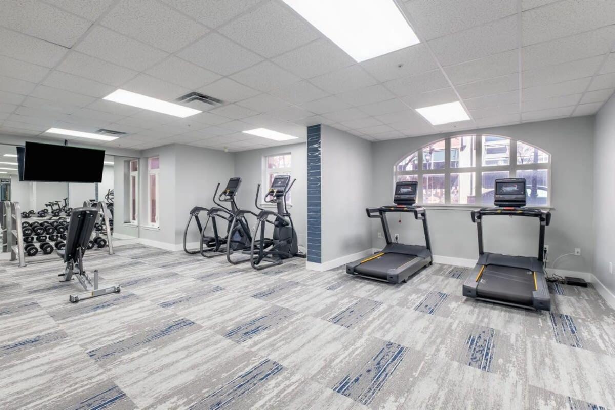 4B 2Ba Luxury Central Apartment With Gym ชาร์ล็อต ภายนอก รูปภาพ